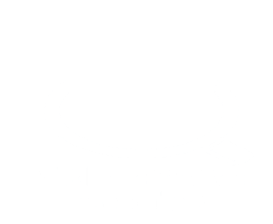 Middle Tennessee Inspections Logo