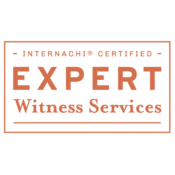 Expert Witness